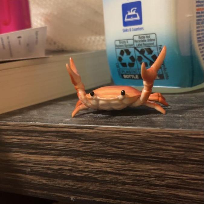 🤣 Забавна гореща продажба 🦀 Сладък държач за химикалки във формата на рак
