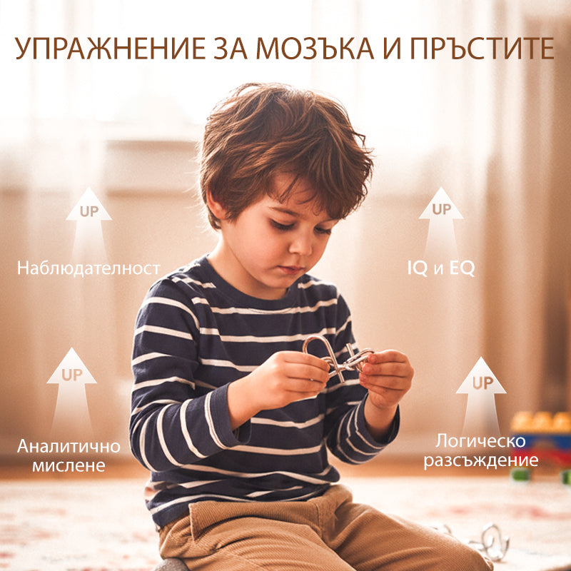 🧠 IQ Toys образователни интелектуални играчки, метални пъзели Задача за ума